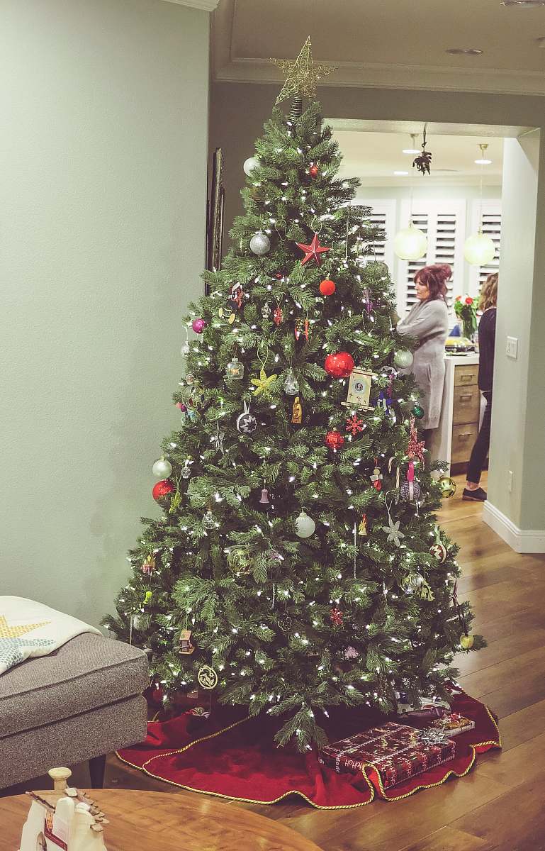 plant green-leafed tree in room tree